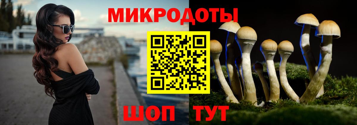 Псилоцибиновые грибы Psilocybine cubensis  Вход с VPN  Орёл 